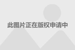 标志207最新报价：标志207最新报价，探索车市新动态！