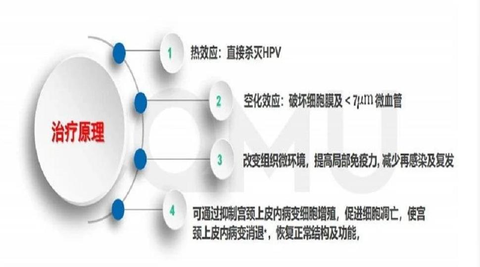 一直持续出血一个月了怎么办，关于出血问题的深度解析与应对策略