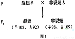 探究肾盂分离现象，出现时间与相关因素解析